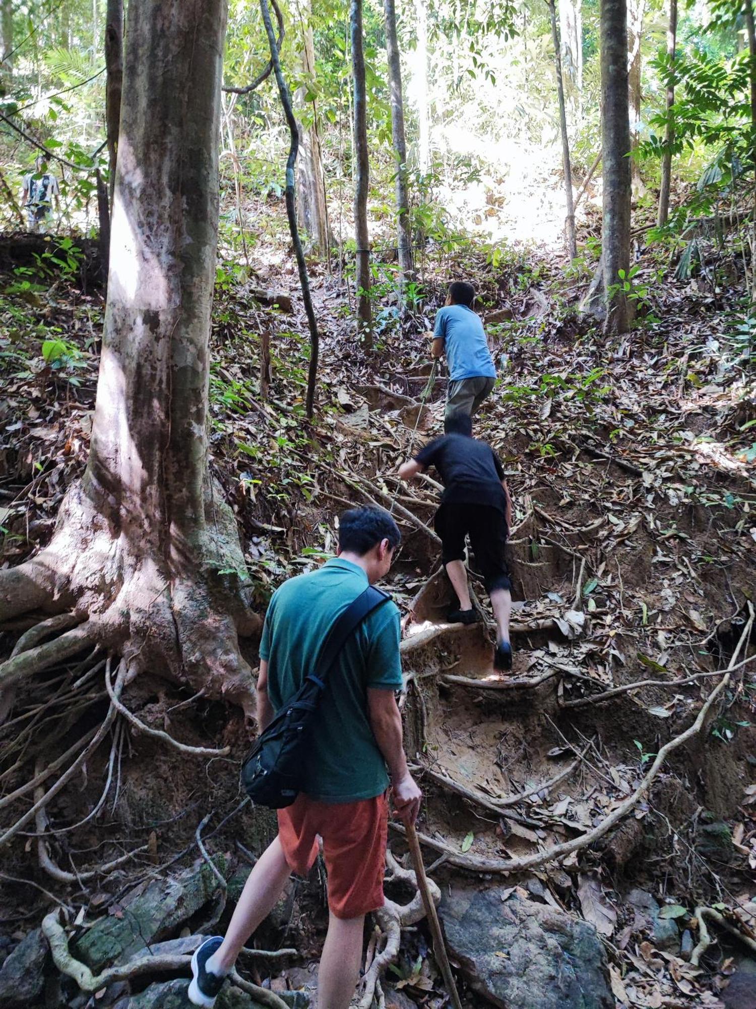 Tekoma Resort Taman Negara Kuala Tahan Kültér fotó