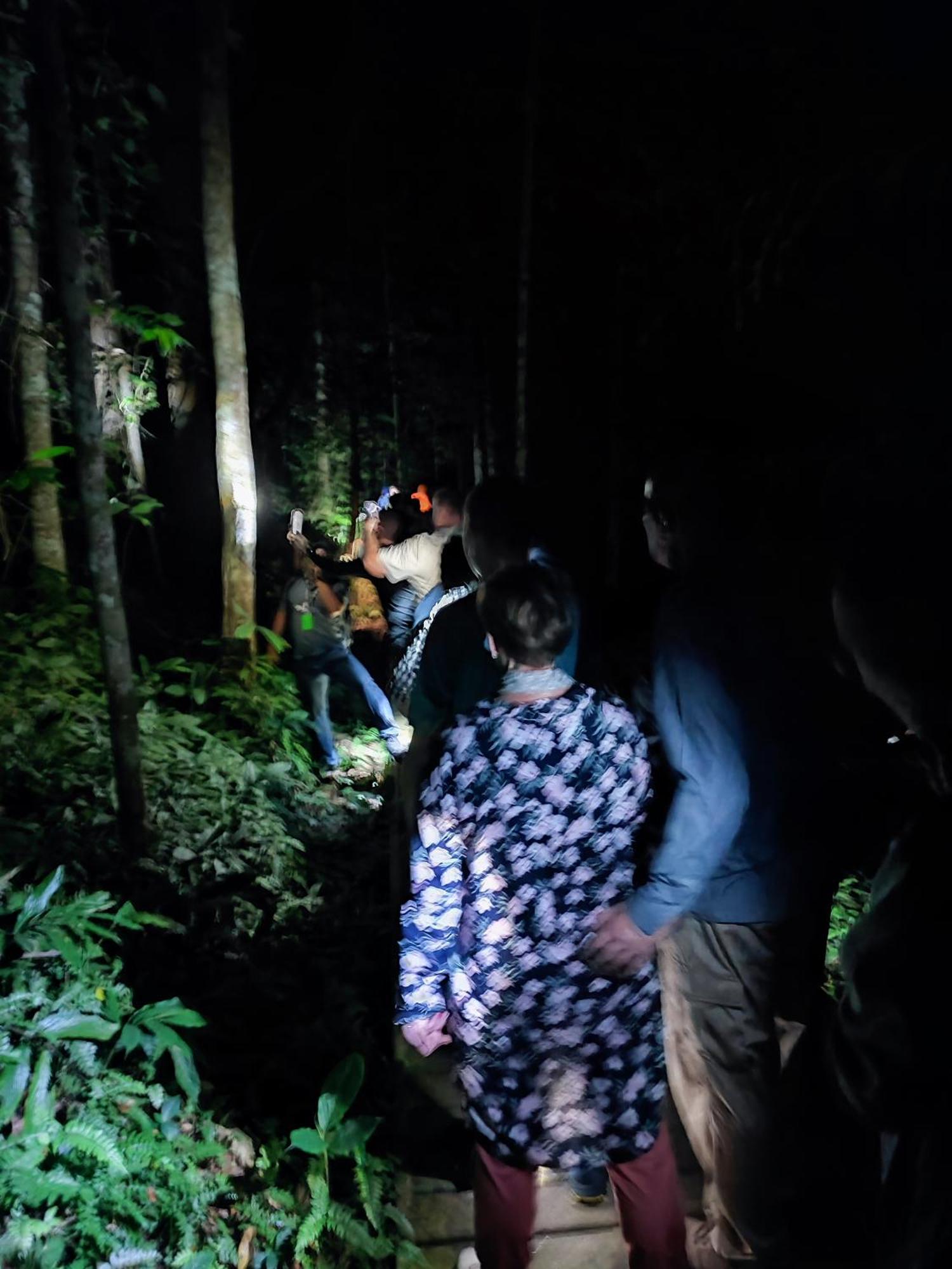 Tekoma Resort Taman Negara Kuala Tahan Kültér fotó